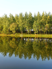 西淝河濕地公園