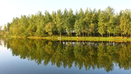 西淝河濕地公園