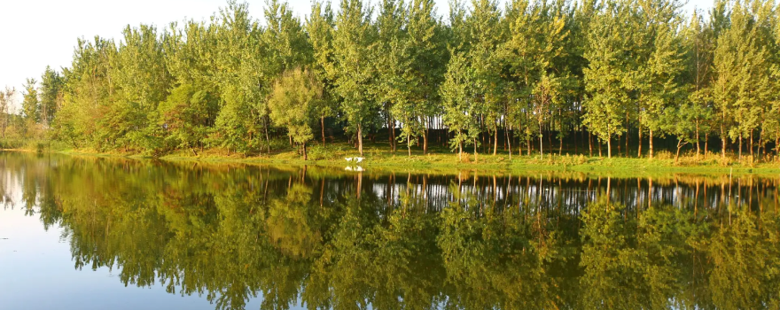 Xifeihe Wetland Park