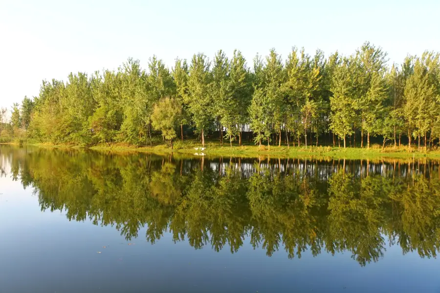 西淝河濕地公園