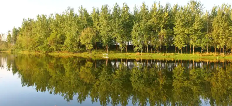 Shell Properties in Lixin