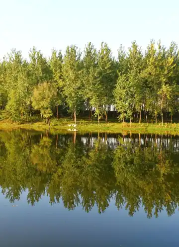 Narada Grand Hotel Properties in Lixin