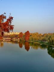 Tineretului Park