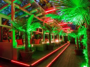 Pacha