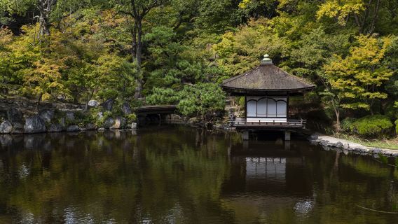 日本大阪和歌山城+黑潮市场+白良滨+白滨温泉【中文司机】
