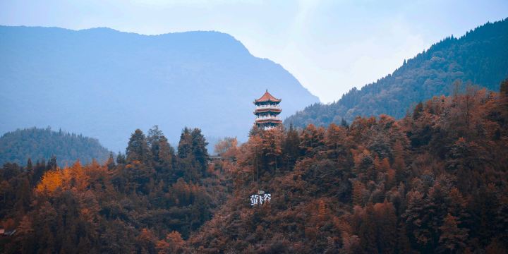 Yingfei Valley