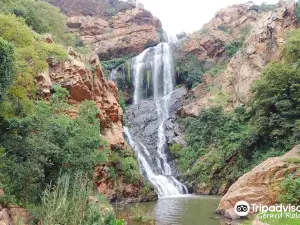Walter Sisulu National Botanical Garden