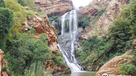 Walter Sisulu National Botanical Garden
