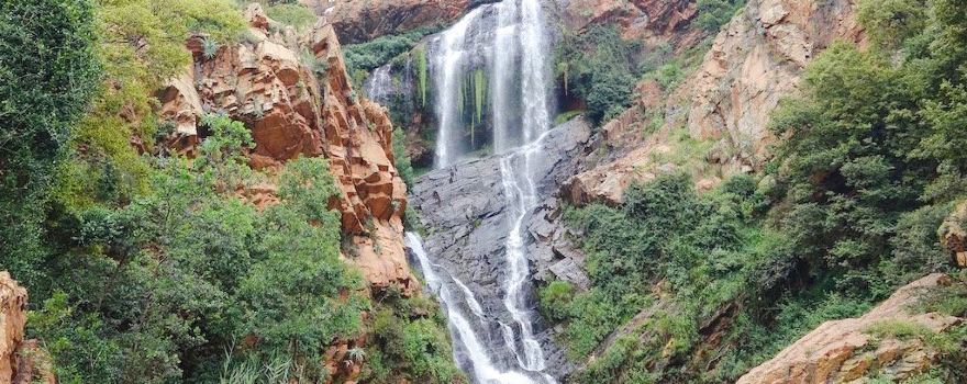 Walter Sisulu National Botanical Garden