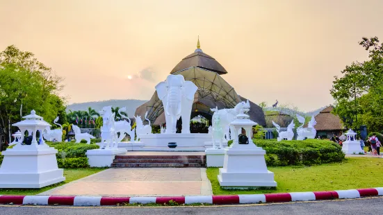 Zoo di Chiang Mai