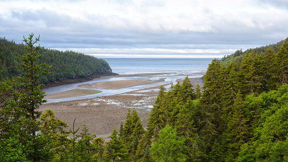 Национальный парк Фунди