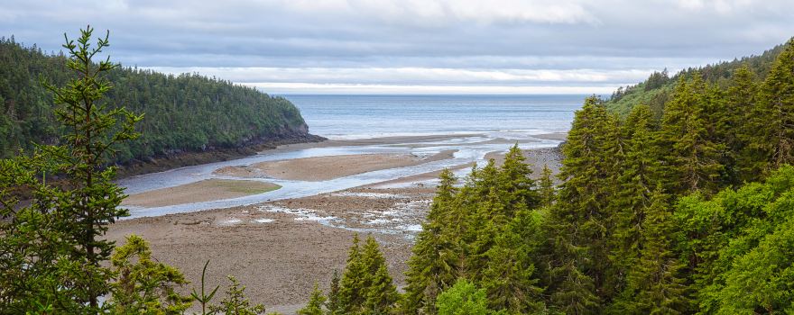 Fundy National Park Of Canada