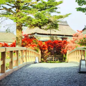長岡天満宮