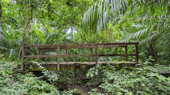 Distretto di Panama