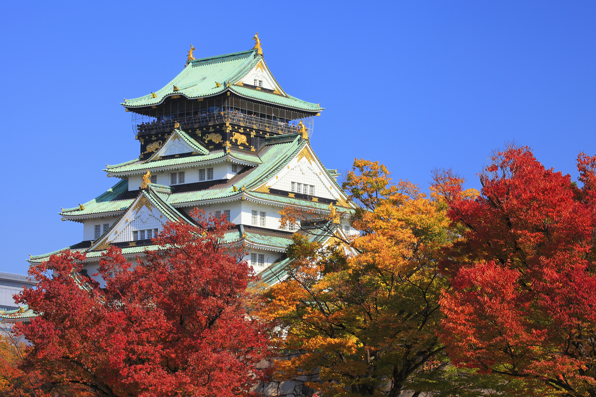 Osaka Castle Park