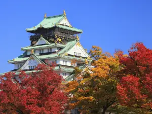 Migliori 10 Attrazioni per la visione autunnale a Prefettura di Osaka