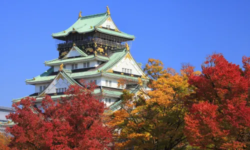 Parco del castello di Osaka