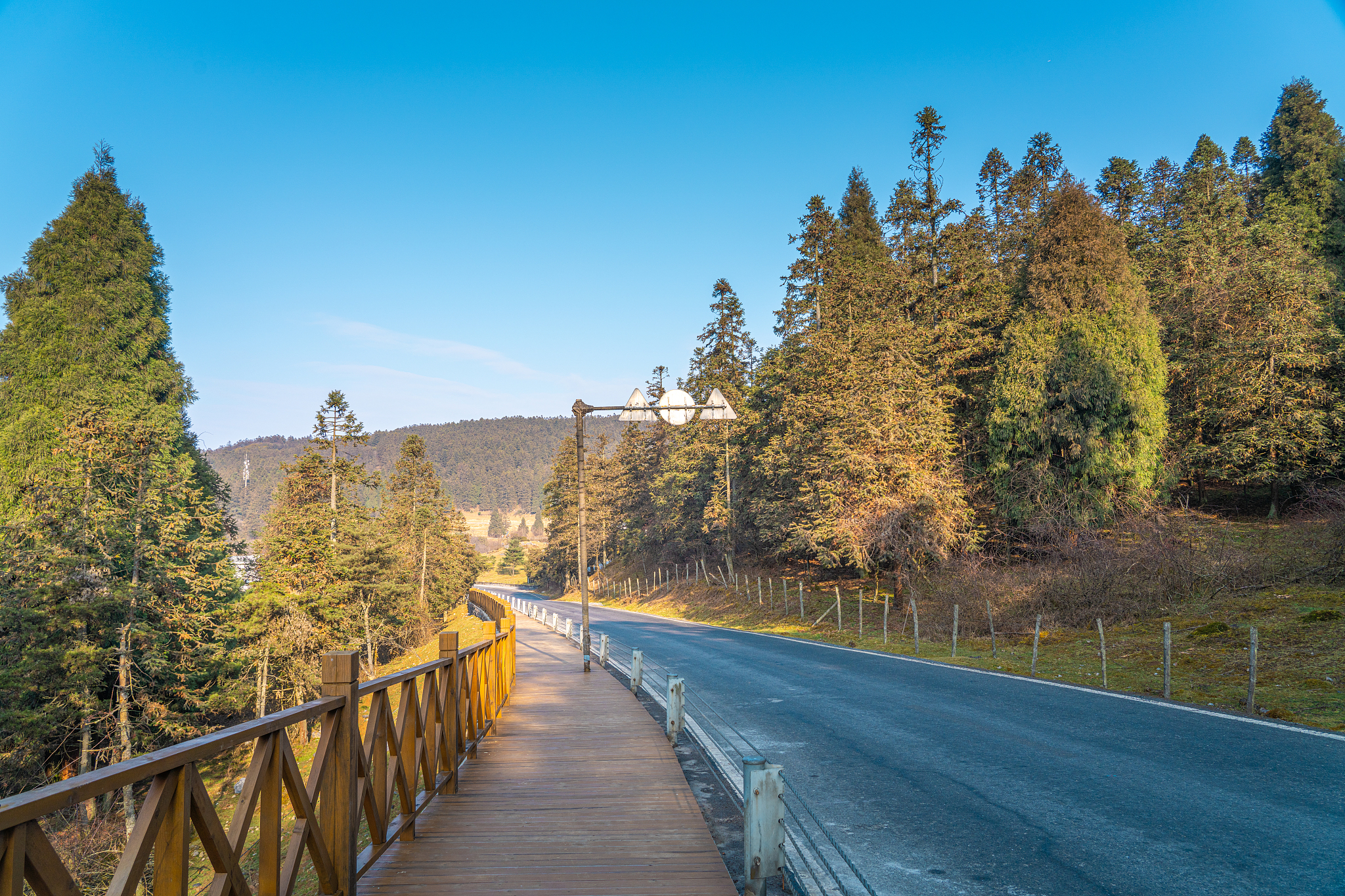 重慶50大賞秋好去處