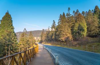 重慶50大賞秋好去處