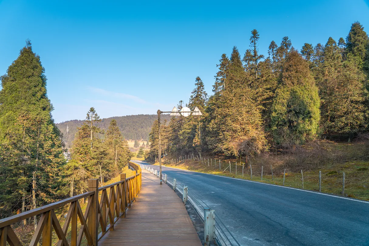 4_仙女山國家森林公園