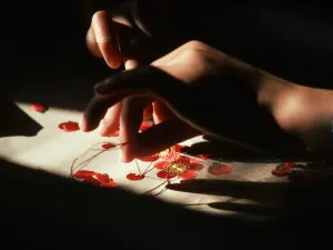 Embroidery Experiences in Suzhou