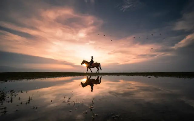 Horse Riding in Qinghaihu