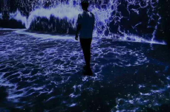 THE ULTIMATE IMMERSIVE ART EXPERIENCE CHOSEN BY + 8 MILLION WORLDWIDE