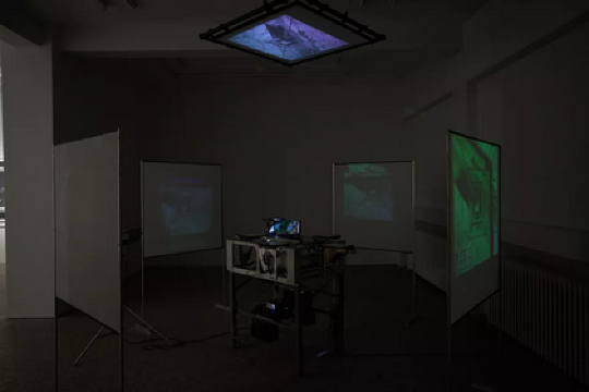 Woody Vasulka: The Brotherhood | BERG Contemporary