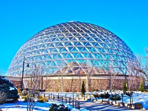 Desert Dome