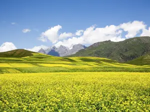 Zhuoer Mountain Scenic Area