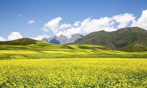 Zhuoer Mountain Scenic Area