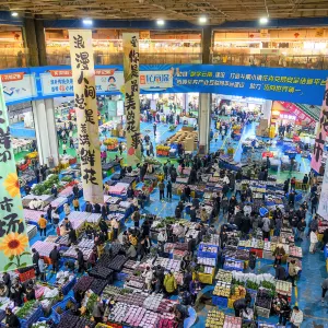 Dounan Flower Fair