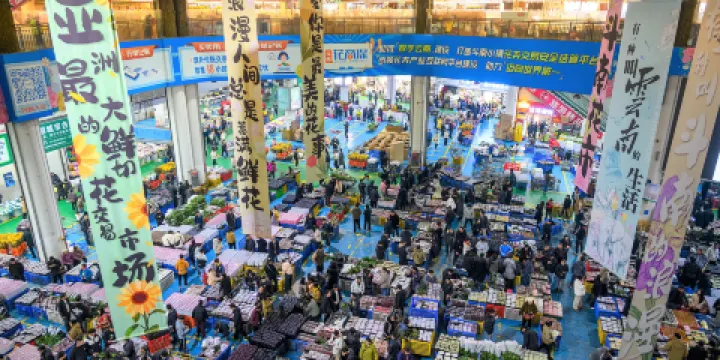 昆明斗南花卉市場