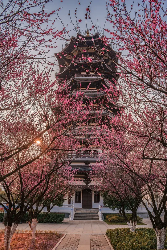 3_洋湖濕地公園