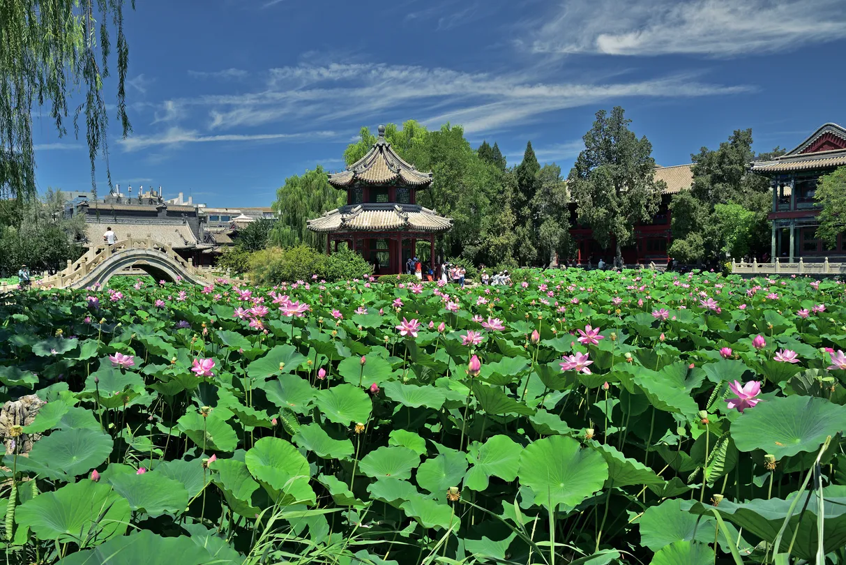 4_สระบัวโบราณ