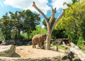 Hotels near Hunua Ranges