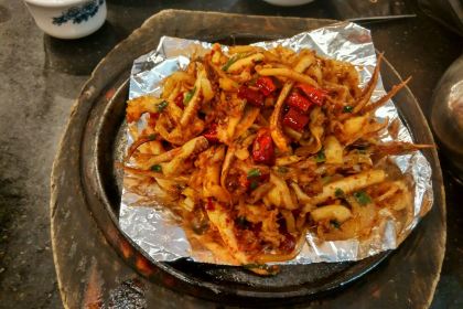 XIAO YI JIA CHAGN CAI