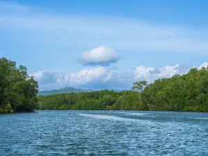 Kawa-kawa river cruise