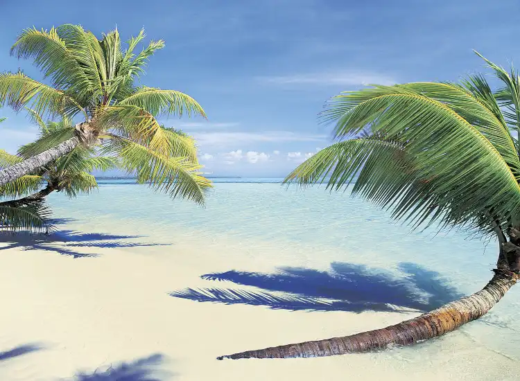 فنادق في West Island