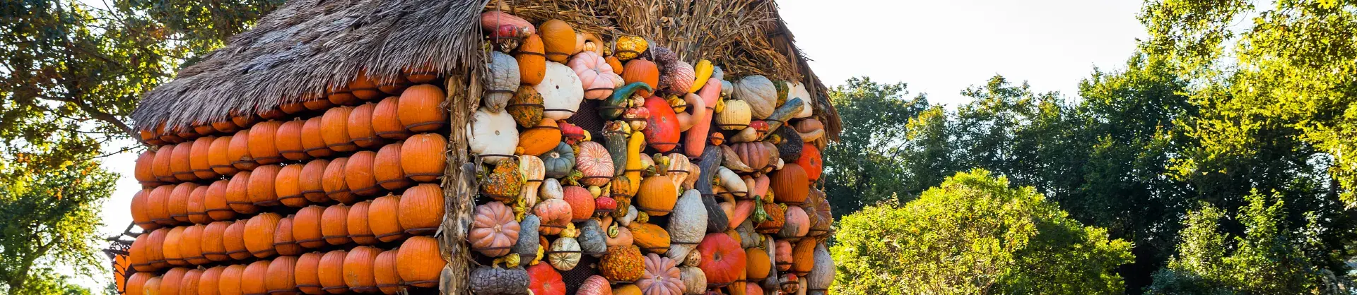 Attrazioni per la visione autunnale