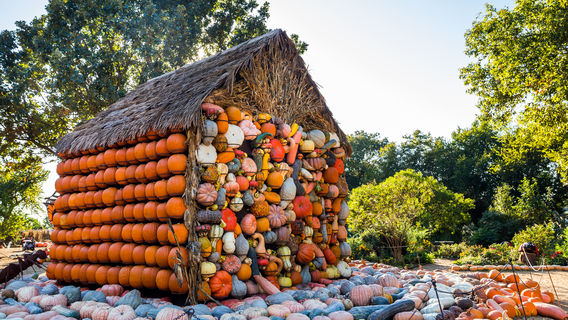 L'Arboretum et les Jardins Botaniques de Dallas