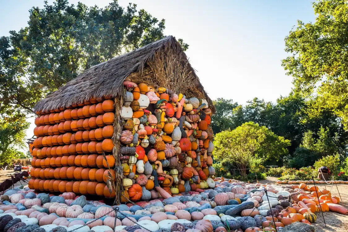 Hotels near The Dallas Arboretum and Botanical Garden