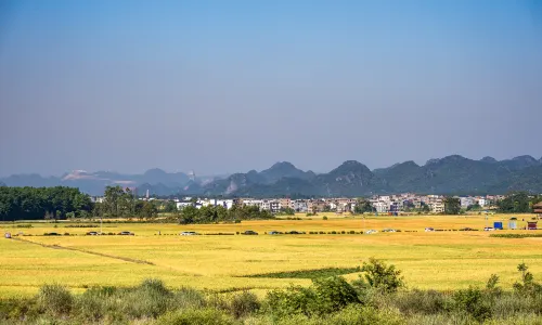Jiuyishan National Nature Reserve