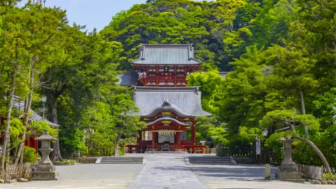 Tsurugaoka Hachimangu attraction in Kamakura