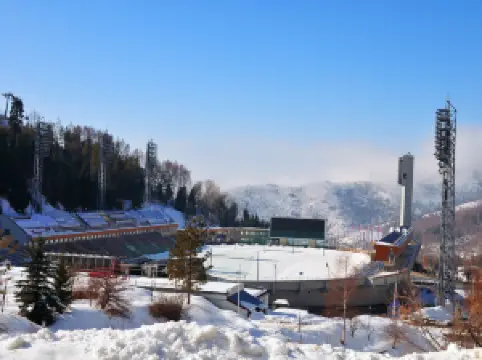 メデオ・スケートリンク