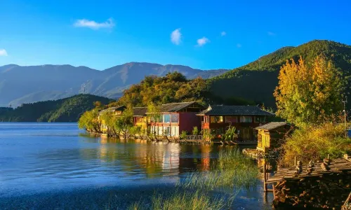 Moonlight Customs Town