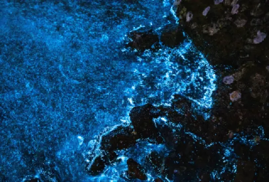 Bahía Bioluminiscente