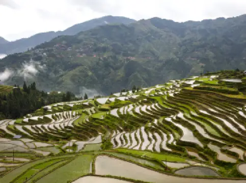 Jiabang Terraced Fields - Terraced Fields in the Clouds