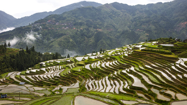 Jiabang Terraced Fields - Terraced Fields in the Clouds