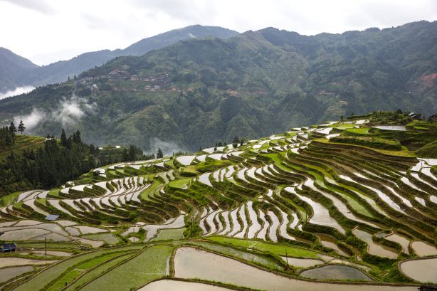 Jiabang Terraced Fields - Terraced Fields in the Clouds
